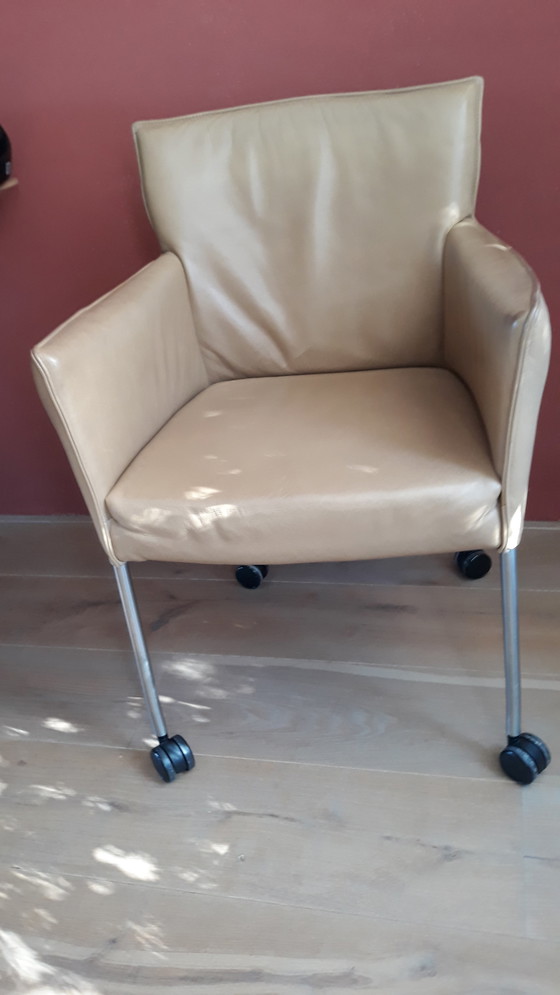 Image 1 of 4x Geräumige stoutenbeek Modell Amra Esszimmerstühle