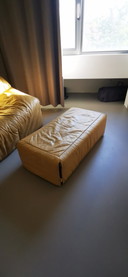 Ligne Roset Sofa und Fußhocker Plumy