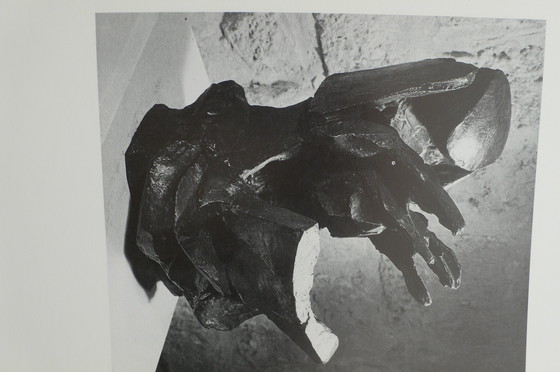 Image 1 of Isabelle Waldberg - Mains et merveilles - Französische Ausgabe