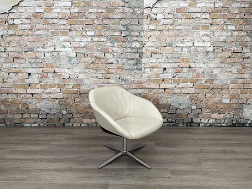 Walter Knoll Schildkrötenstuhl Creme