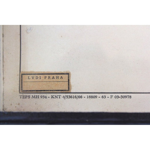 Klassische Schulkarte "Ausbreitung der Saat", Tschechoslowakei 1960er Jahre