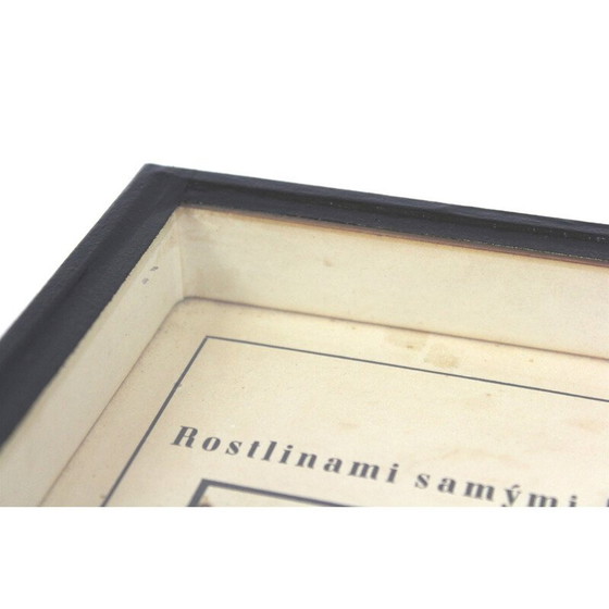 Image 1 of Klassische Schulkarte "Ausbreitung der Saat", Tschechoslowakei 1960er Jahre