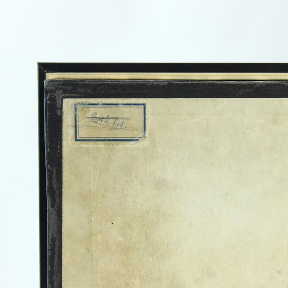 Image 1 of Vintage-Gemälde, das ein Schulmodell von Ernarmonia pomonella darstellt, Tschechoslowakei 1950