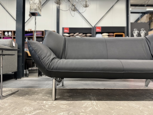 Leolux Tango 3-Sitzer Sofa Schwarzes Leder