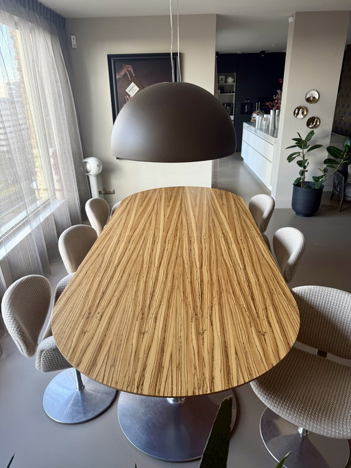 6x Artifort Little Tulip Stühle und 1x Artifort Circle Tisch