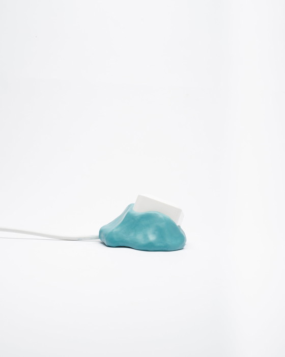 Image 1 of Gert Wessels – Rosa Saker