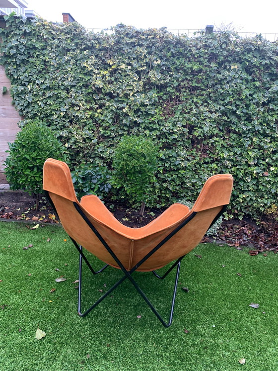 Image 1 of Butterfly-Stuhl