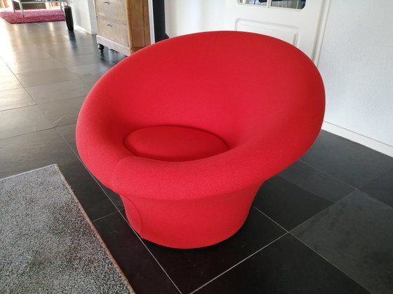 Image 1 of Pilz Artifort Groß