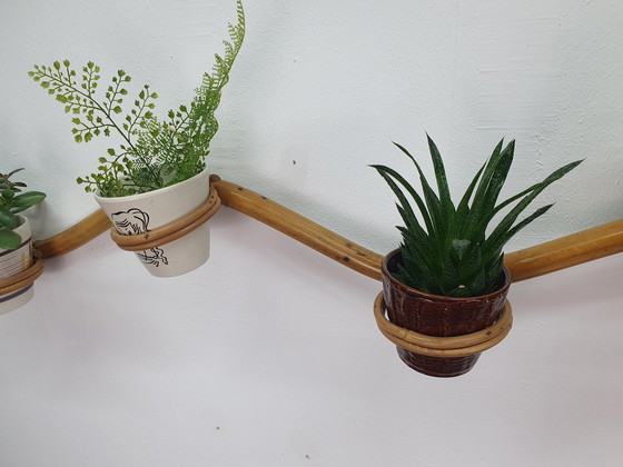 Image 1 of Pflanzenschlauch Rattan/Bambus Pflanzenhalter Rohé/Trio Noordwolde