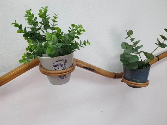 Image 1 of Pflanzenschlauch Rattan/Bambus Pflanzenhalter Rohé/Trio Noordwolde
