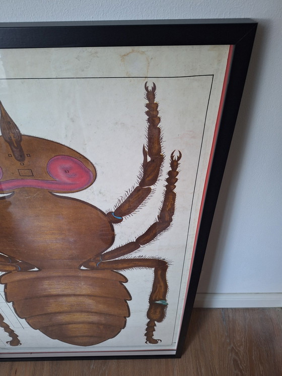 Image 1 of Vintage sowjetischen Schule Platte Insekt