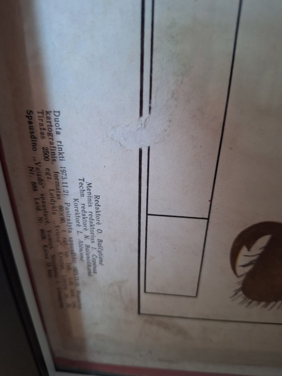 Image 1 of Vintage sowjetischen Schule Platte Insekt