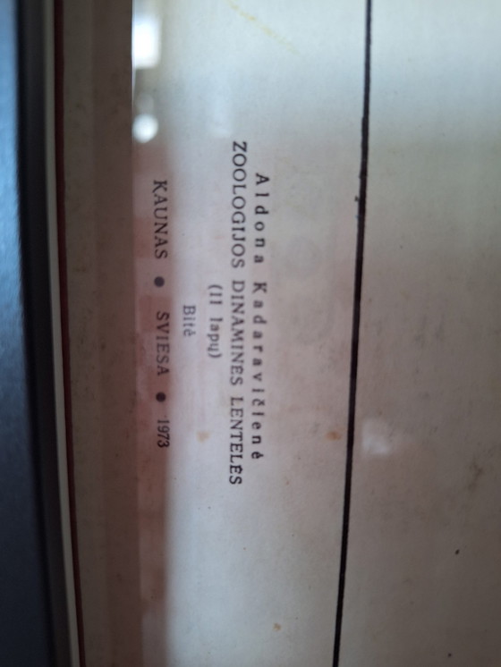 Image 1 of Vintage sowjetischen Schule Platte Insekt