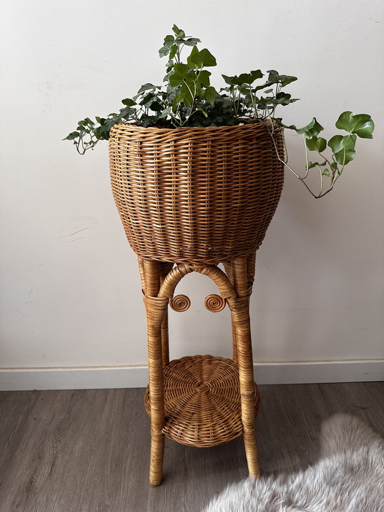 Image 1 of Rattan-Pflanzenständer