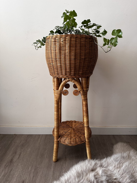 Image 1 of Rattan-Pflanzenständer