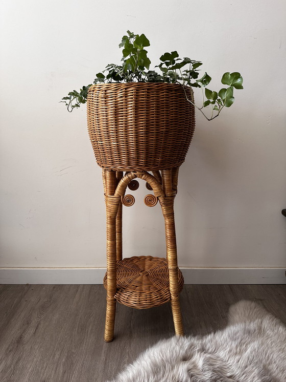 Image 1 of Rattan-Pflanzenständer