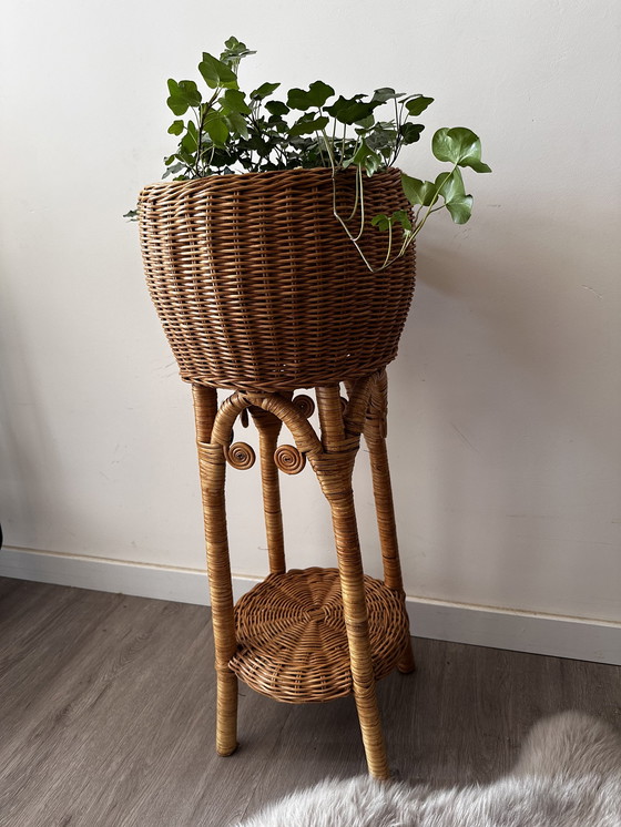 Image 1 of Rattan-Pflanzenständer