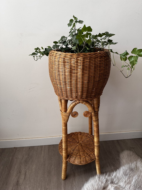 Image 1 of Rattan-Pflanzenständer