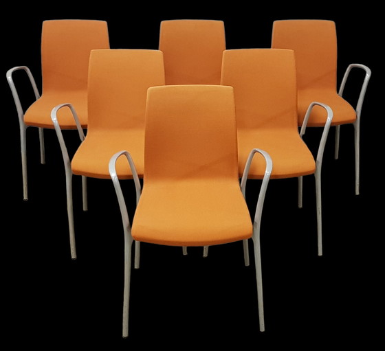 Image 1 of 6x Akaba Gorka Stuhl von Jorge Pensi