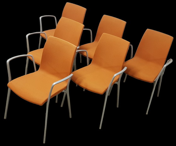 Image 1 of 6x Akaba Gorka Stuhl von Jorge Pensi