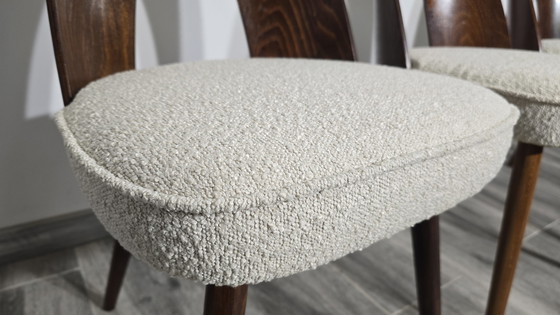 Image 1 of Esszimmerstühle von Antonin Suman, 1960er Jahre, Satz von 4