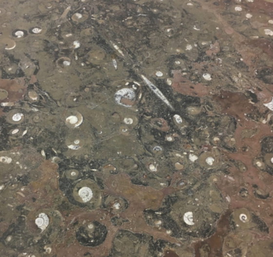 Image 1 of Mid Century Design Couchtisch von Heinz Lilienthal mit fossiler Marmorplatte, 1970er Jahre