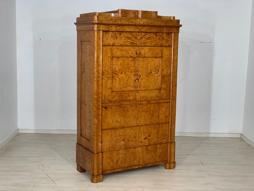 Biedermeier schrank kleiderschrank bücherschrank um 1880