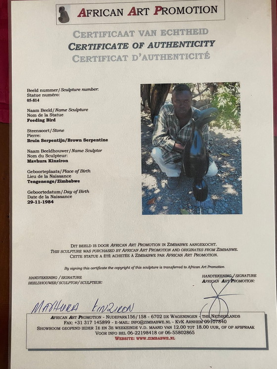 Image 1 of Bild eines fütternden Vogels