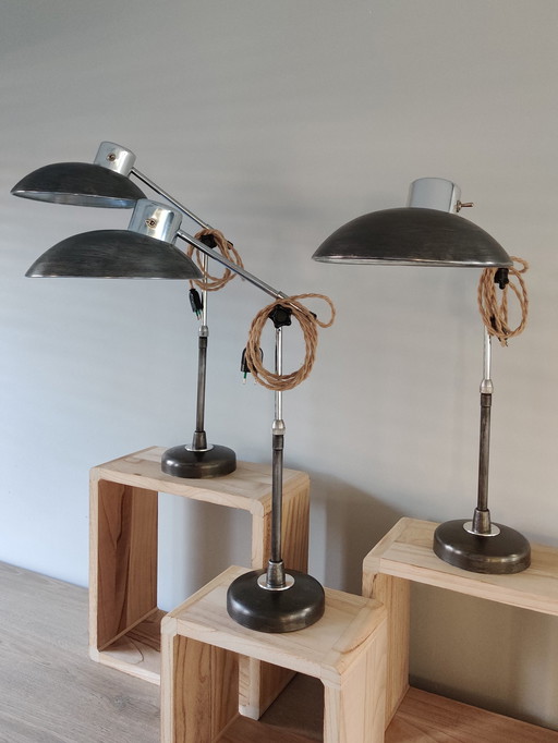 Zeldzame-Set Ferdinand Lampen aus den 1950er Jahren