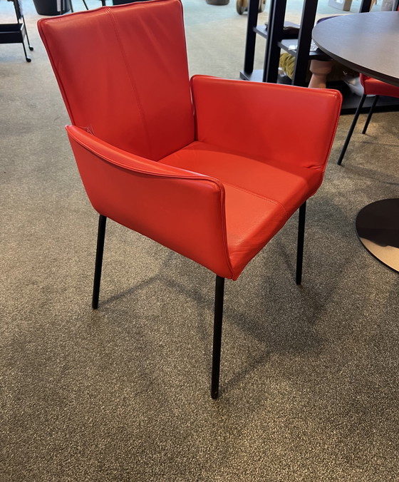 Image 1 of 3x Bree's New World Gaucho Chair rot