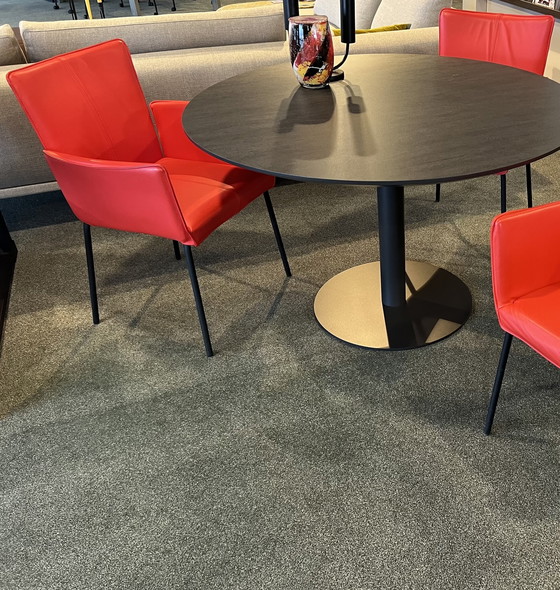 Image 1 of 3x Bree's New World Gaucho Chair rot