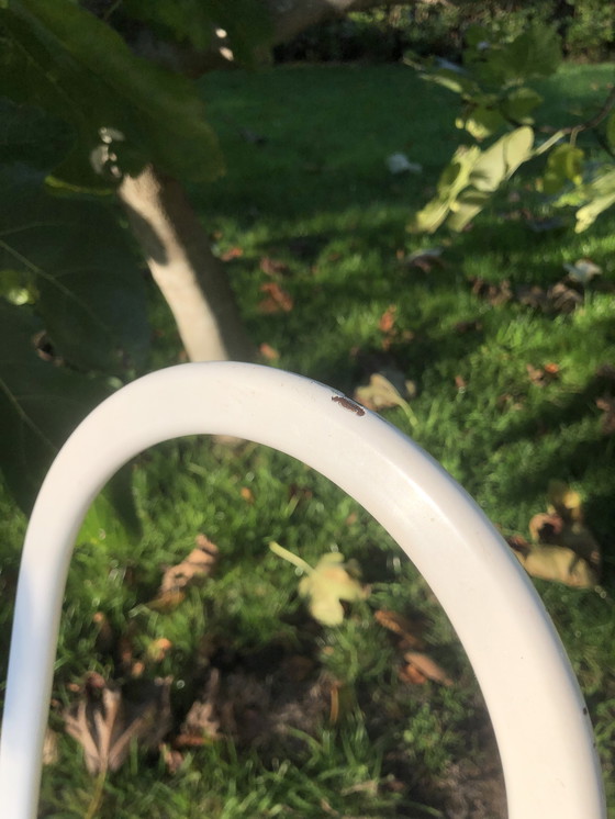 Image 1 of 2x Gastone Rinaldi Büroklammerstuhl