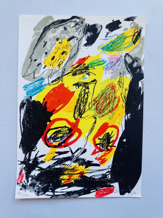 Image 1 of Kees Salentijn - Farbenfroher Siebdruck