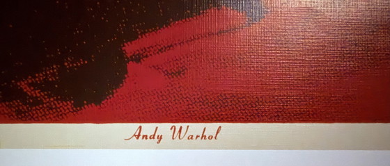 Image 1 of Andy Warhol: "Kuh, 1966". Auf der Platte signiert.