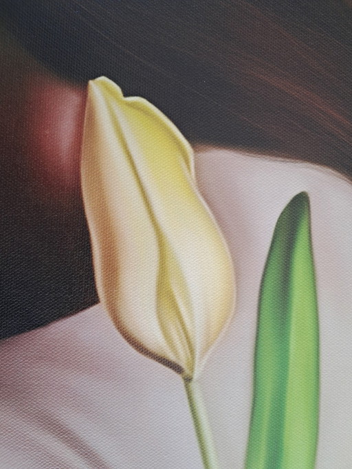 Künstlerisches Gemälde - Enrica Ciffo - Yellow Tulip ( Print)