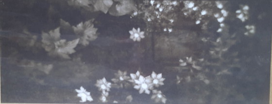 Image 1 of Monographie von Josef Sudek