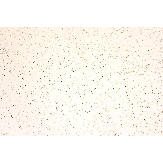 Image 1 of Dreieckiger Couchtisch aus Holz, 1950