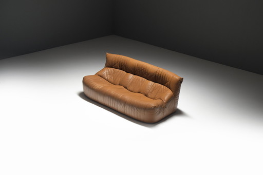 Vintage Aralia Sofa in original cognacfarbenem Leder von Michel Ducaroy für Ligne Roset
