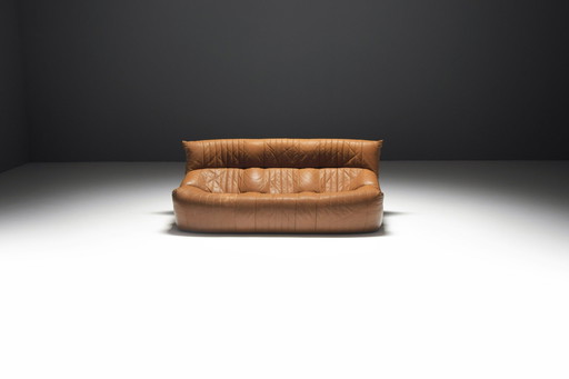 Vintage Aralia Sofa in original cognacfarbenem Leder von Michel Ducaroy für Ligne Roset