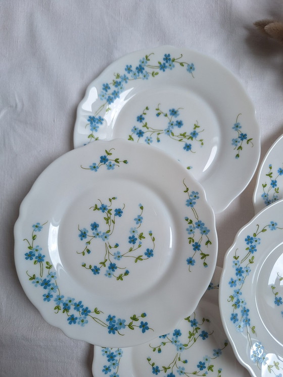 Image 1 of Dessertteller Arcopal Blau Vintage