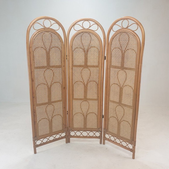 Image 1 of Italienischer Vintage-Raumteiler aus Rattan und Weide, 1960er Jahre