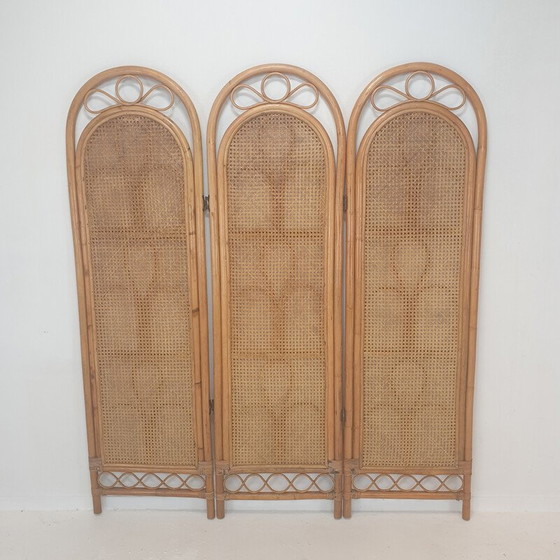 Image 1 of Italienischer Vintage-Raumteiler aus Rattan und Weide, 1960er Jahre