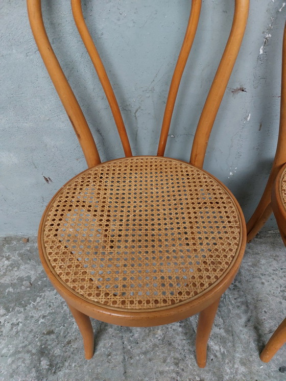 Image 1 of 2 x Bugholz Gurtband Esszimmerstühle