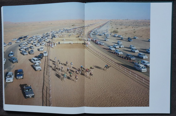 Image 1 of Human Playground, warum wir spielen