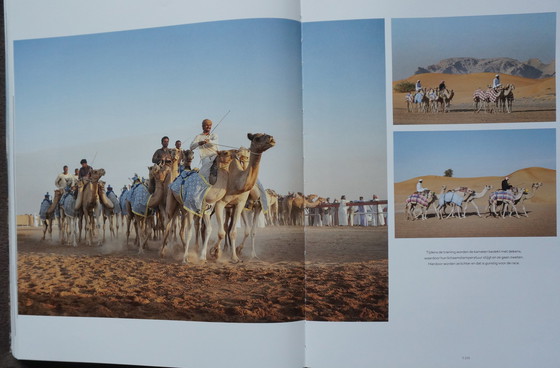 Image 1 of Human Playground, warum wir spielen