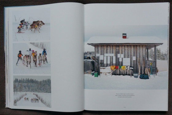 Image 1 of Human Playground, warum wir spielen