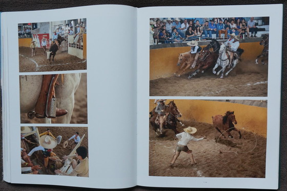 Image 1 of Human Playground, warum wir spielen