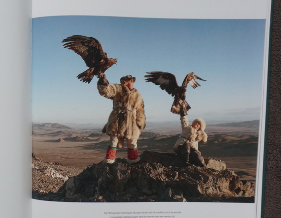 Image 1 of Human Playground, warum wir spielen