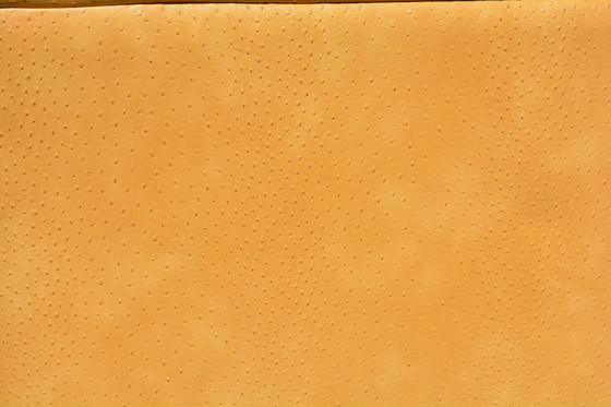 Image 1 of 2x moderne Design-Sessel