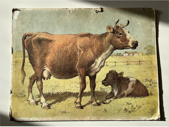 Image 1 of Antik School Chart Illustration, doppelseitig, Ziege/Zicklein und Kuh/Kalb, Lithographie, Farmlife, Shabby Chic